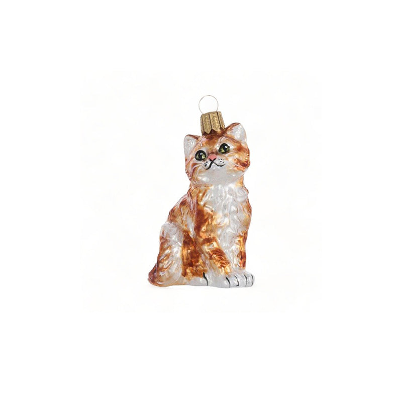 Katt