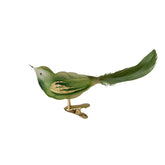 Fågel i glas grön 11 cm